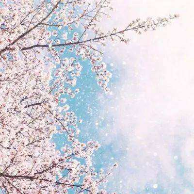 麻将胡了模拟器下载