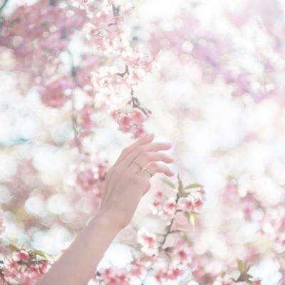 博鱼·体育中国官方入口下载截图