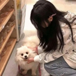 十大正规彩票网站